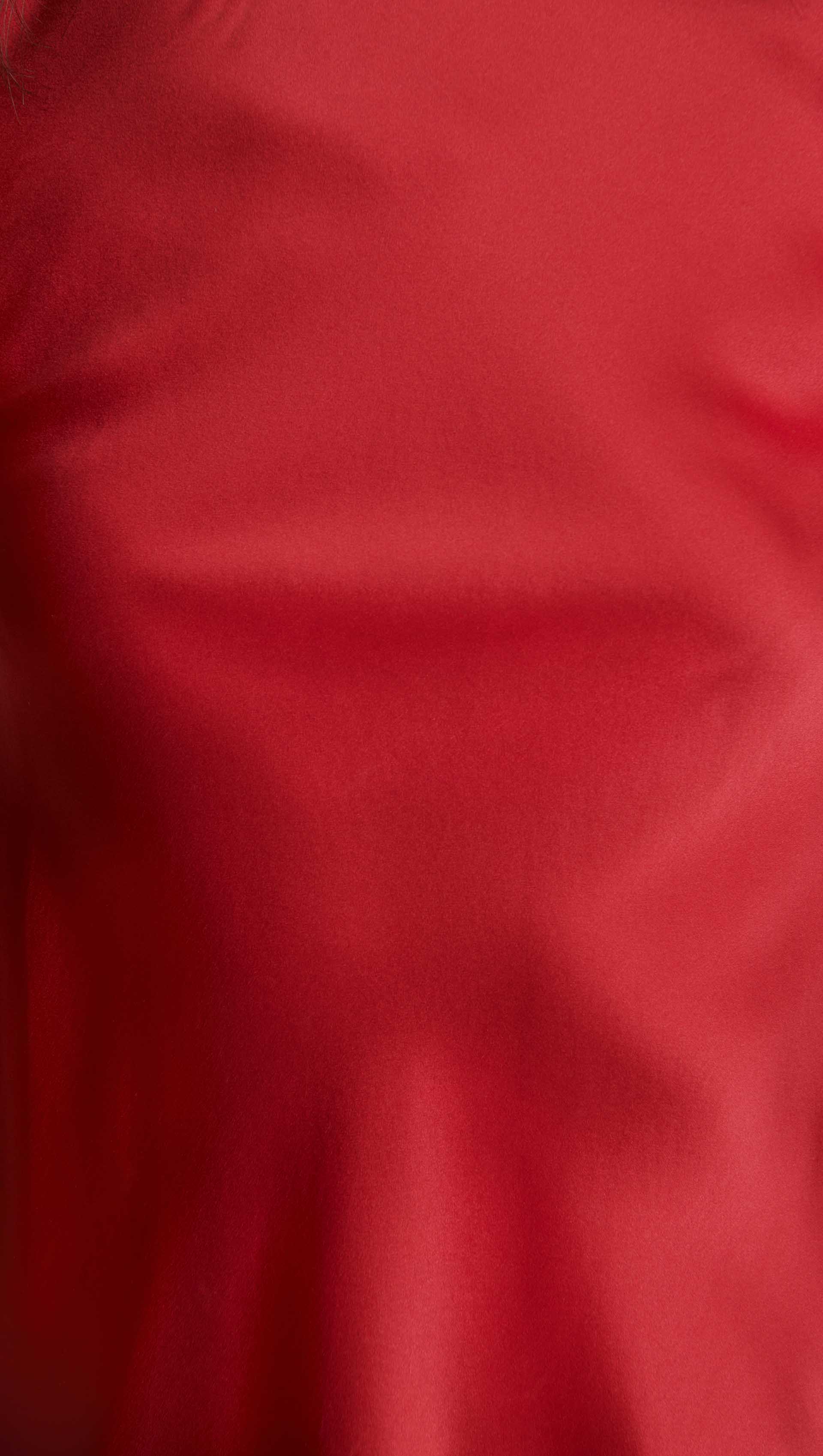 Longsleeve Bias Top in Silk Charmeuse | Ruby Red - Image 7